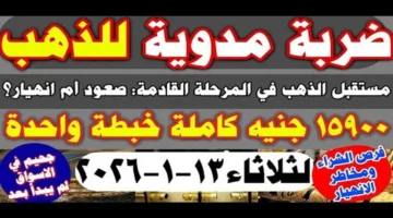 تراجع 50 جنيهاً.. أسعار الذهب تكسر موجة الارتفاع التاريخي بتعاملات مساء الثلاثاء